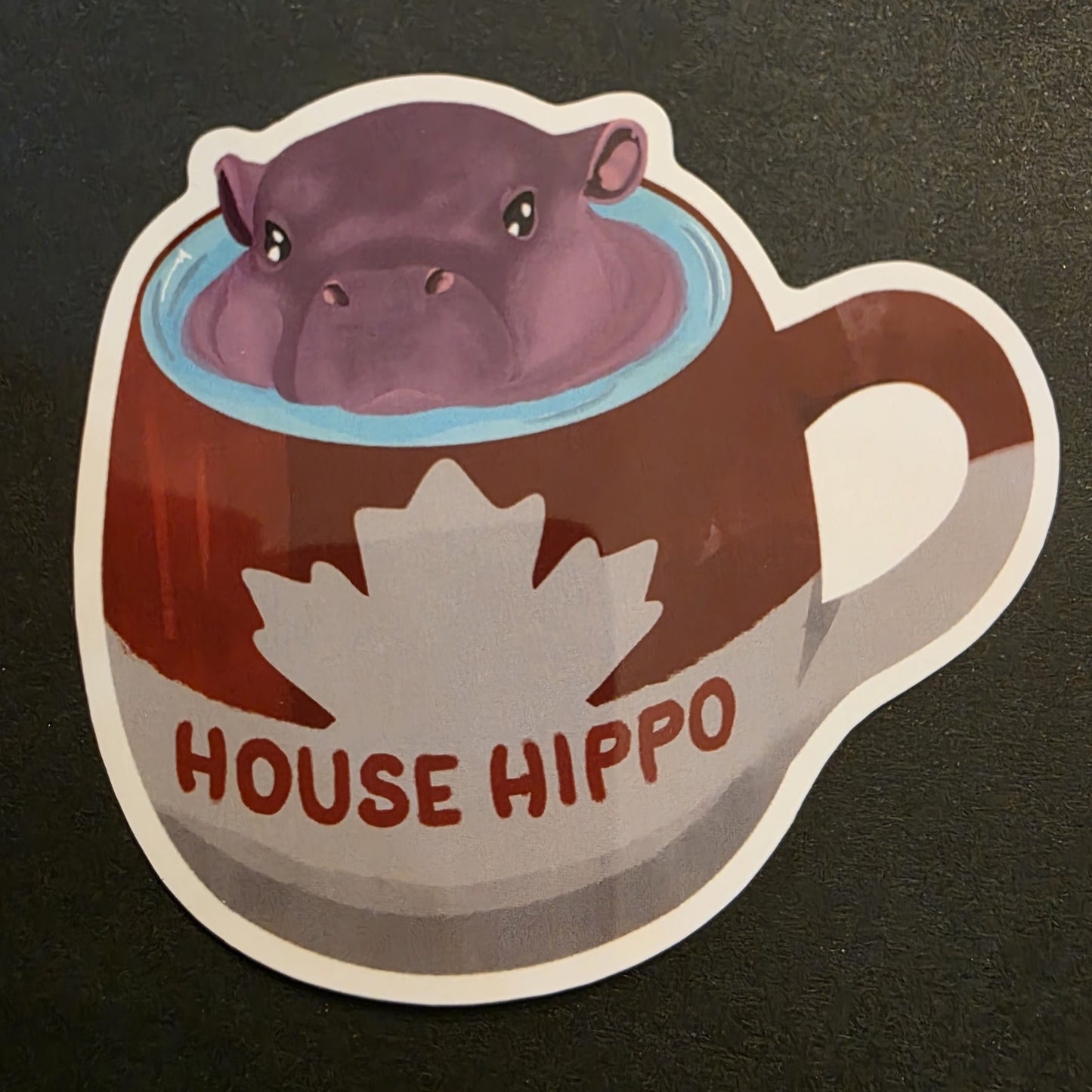 Canadian House Hippo